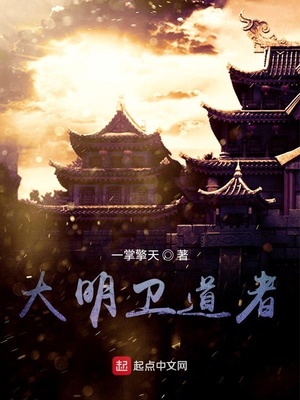 大明衛道者
