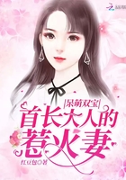 呆萌雙寶：首長(zhǎng)大人的惹火妻