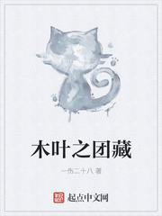 木葉之團(tuán)藏