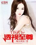 醫武透視至尊