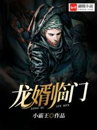化龍贅婿