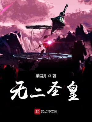 無(wú)二圣皇