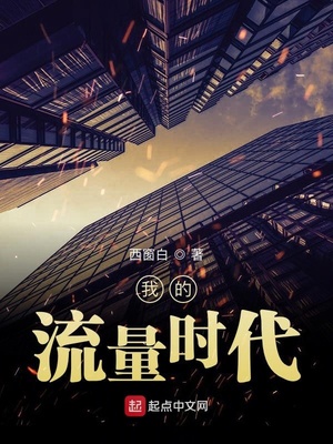 我的流量時(shí)代