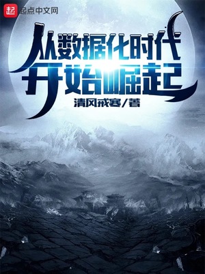 從數(shù)據(jù)化時(shí)代開始崛起