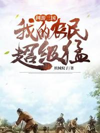 網(wǎng)游三國之我的農(nóng)民超級(jí)猛