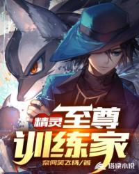 精靈:至尊訓練家