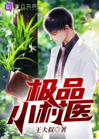 極品小村醫