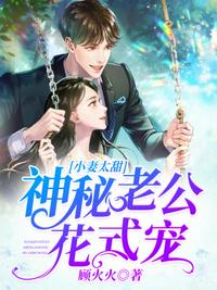 神秘老公花式寵
