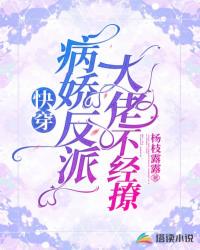 快穿：病嬌反派大佬不經撩