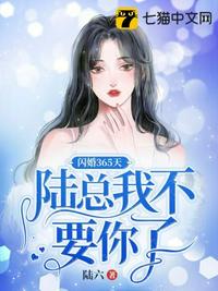 閃婚365天，陸總我不要你了