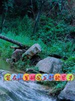 茍?jiān)谏嚼锔阄逍嘘庩?></a></dt>
            <dd><h3><a href=