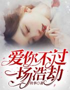 愛你不過一場浩劫喬笙陸廷淵