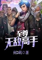 至尊無敵高手