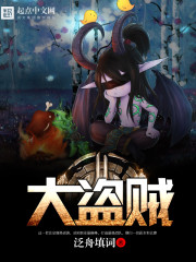 網游之大盜賊